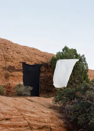 Duo Backdrop in a Bag // 2 Weathered 5'x7' Hand Painted Muslin Backdrops
