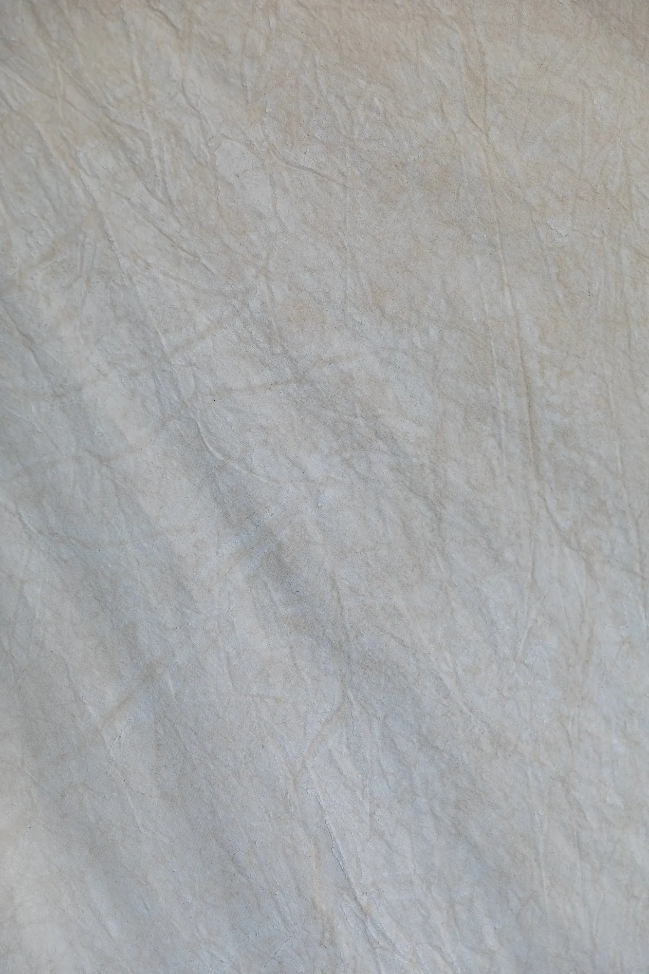 Duo Backdrop in a Bag // 2 Weathered 5'x7' Hand Painted Muslin Backdrops
