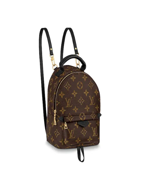Louis Vuitton Palm Springs Backpack Mini Monogram